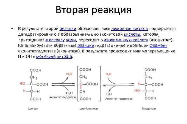 Kraken ссылка kraken clear com